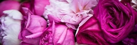 Rehf_salm's profile banner image