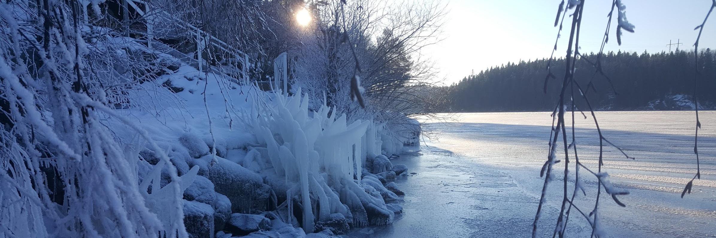 Rickard Atthem banner