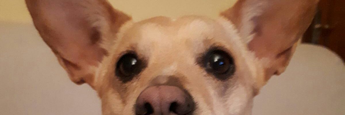 manuel6313's profile banner image