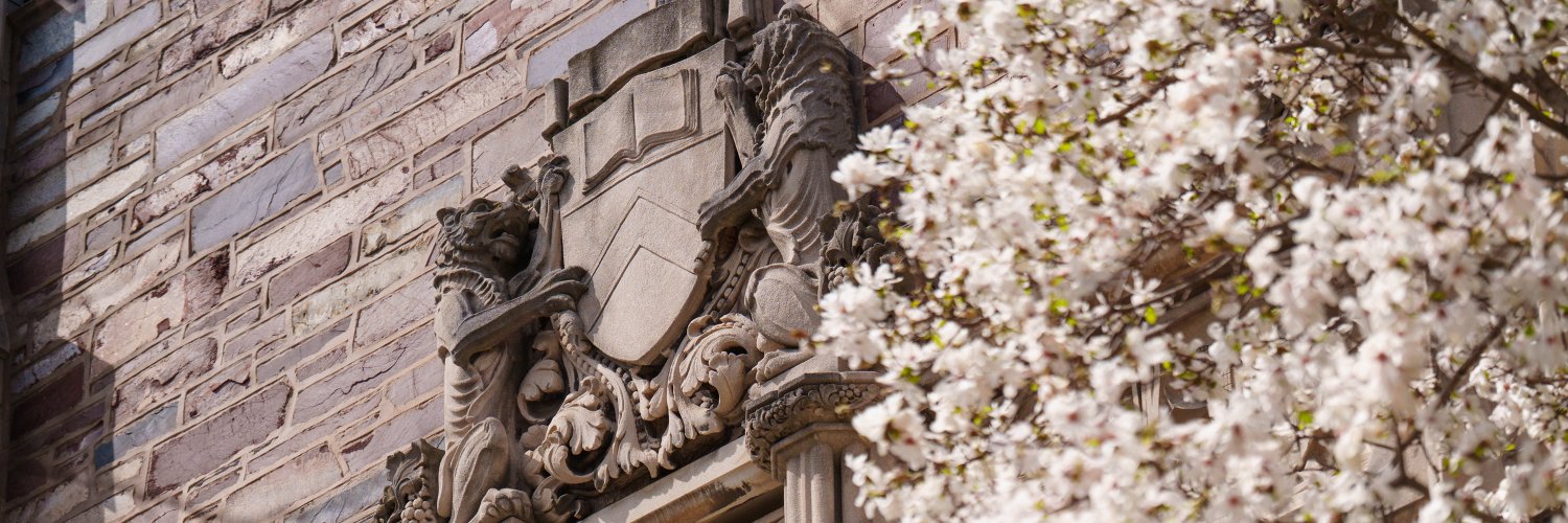 Princeton University banner