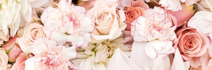 mariia409's profile banner image