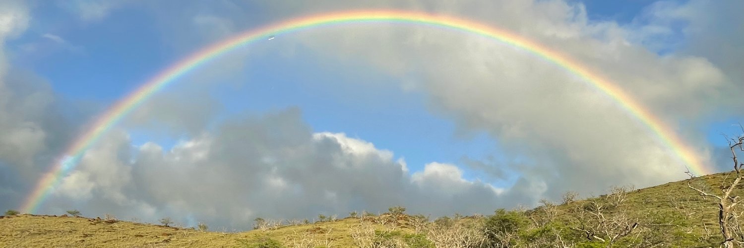 stereogab's profile banner image