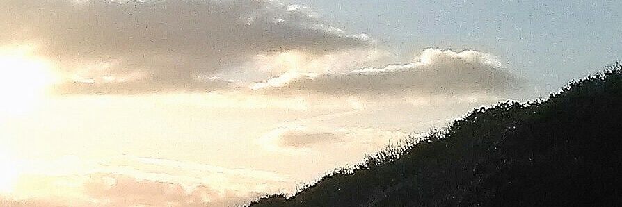 LILOURS03's profile banner image