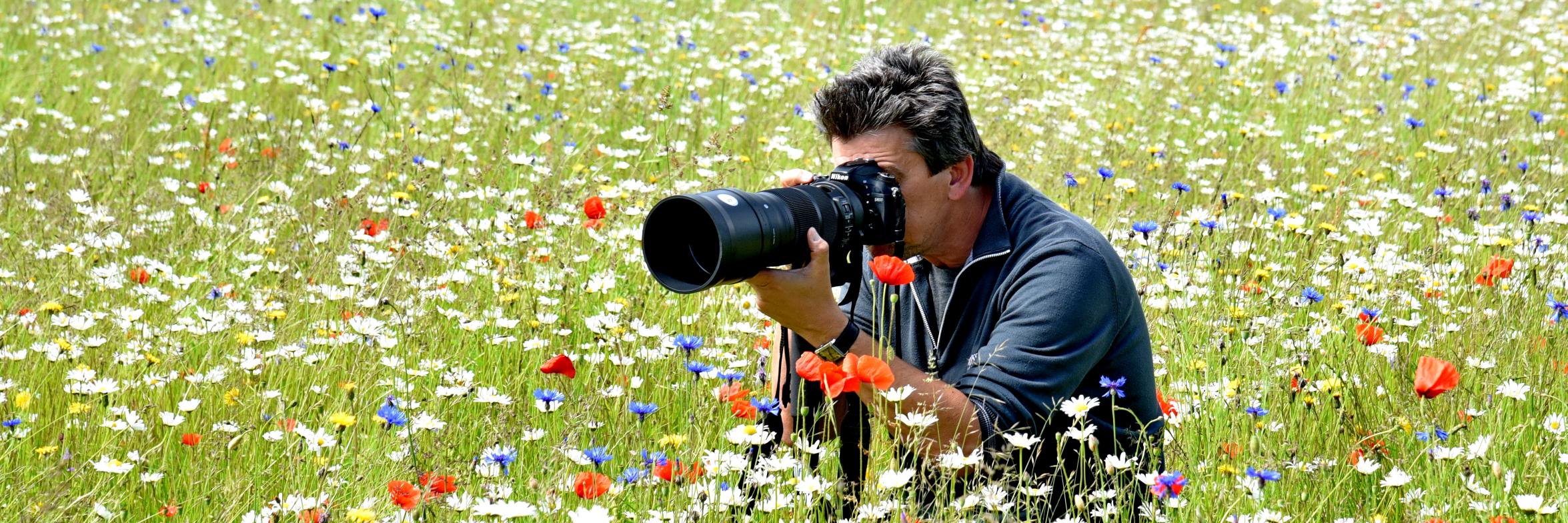 FFoehlinger's profile banner image