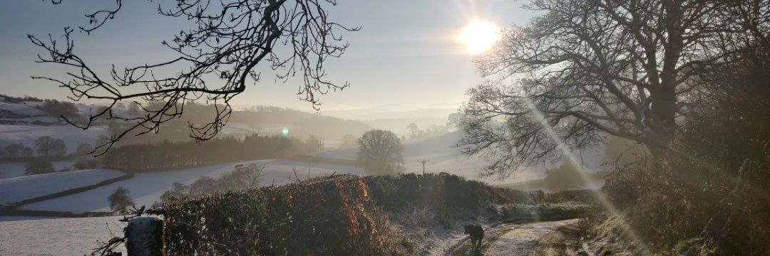 alison tardivel banner