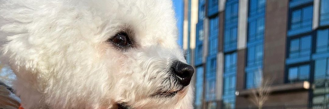 Madison22258's profile banner image