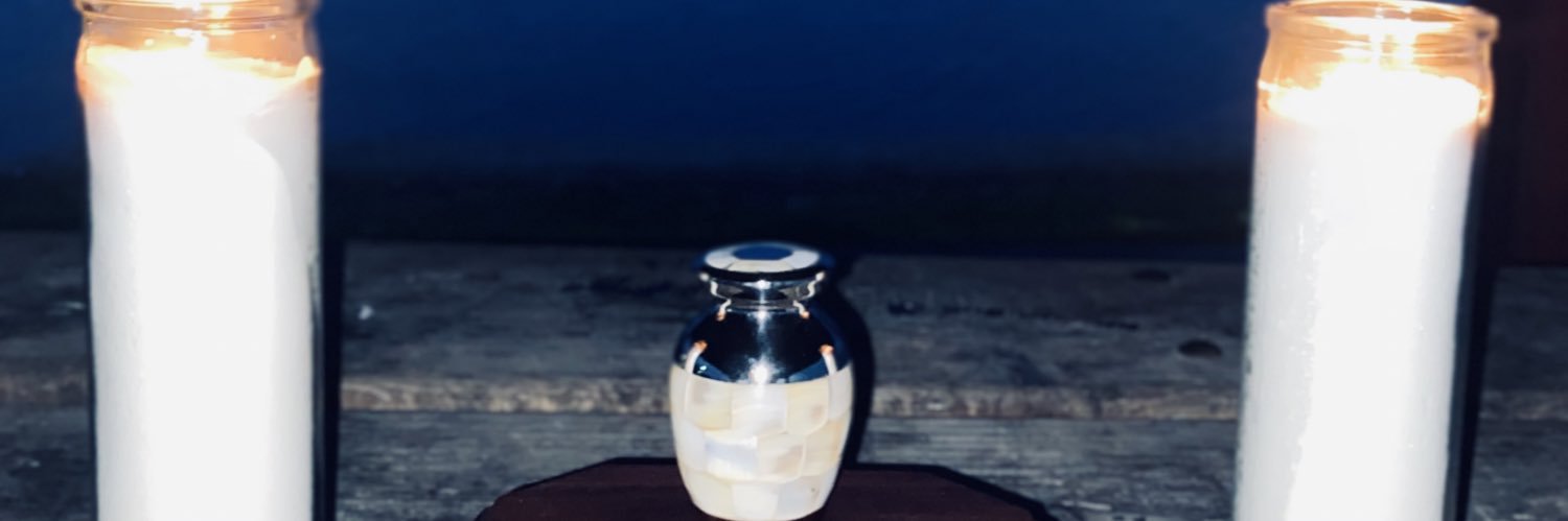 _leopride's profile banner image
