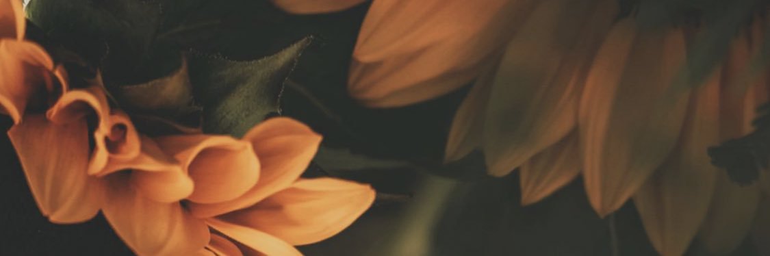 taytaypratch's profile banner image