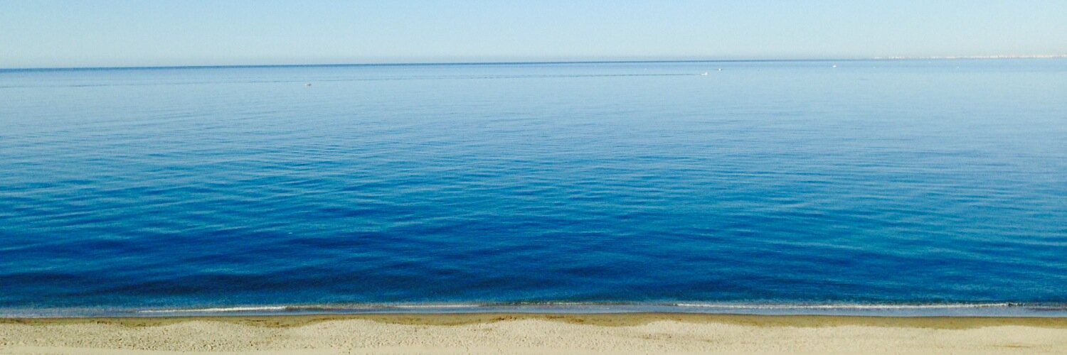 guillermo lago banner