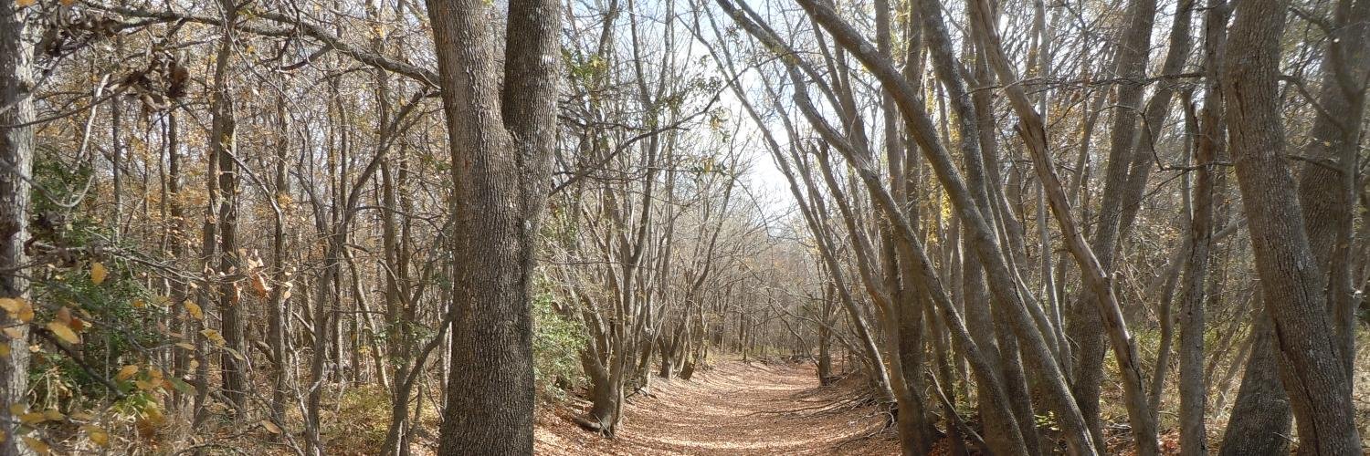 Joe Simnacher banner