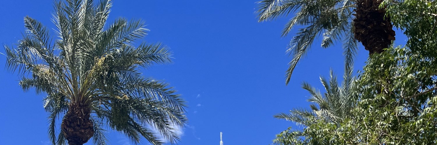 MissTrustNoOne's profile banner image