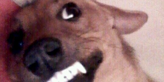 Markheadd's profile banner image