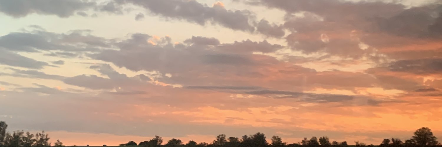 GabyDuarte9's profile banner image