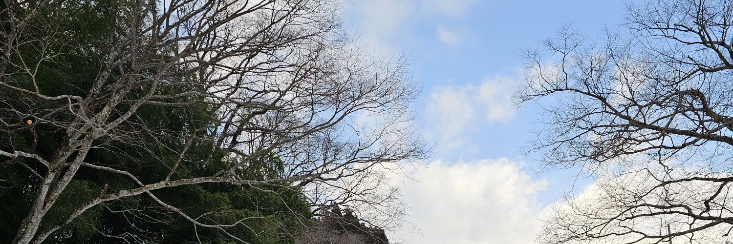 Rexia_samidare's profile banner image