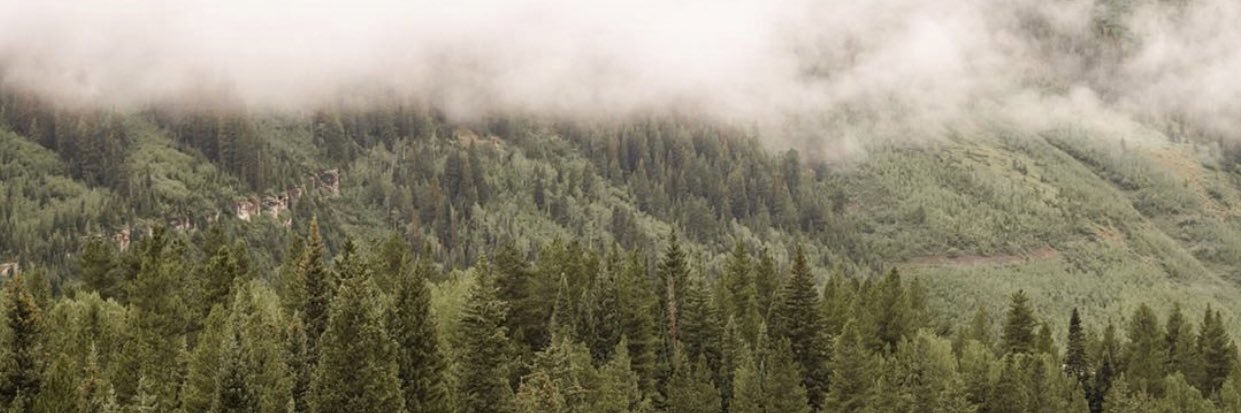 saigecooper's profile banner image