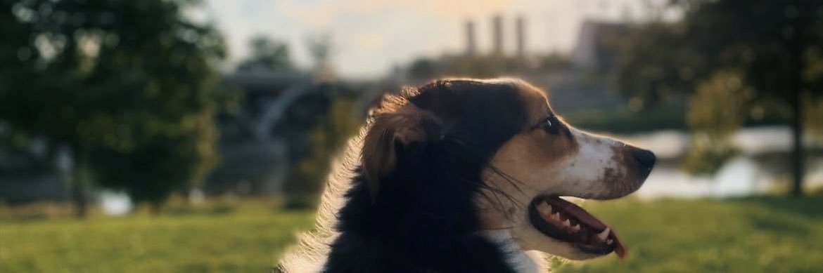simplynoahhh's profile banner image