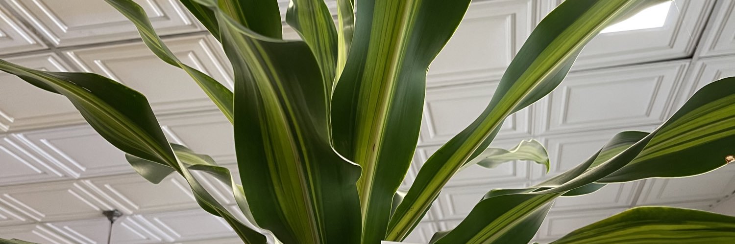 JamikaSymone's profile banner image