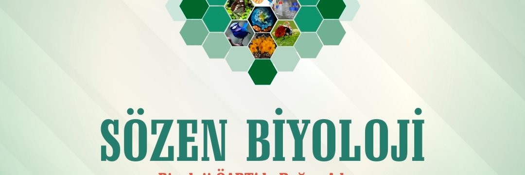 ZeySZ's profile banner image
