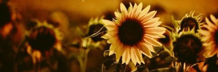 caitiesmail's profile banner image