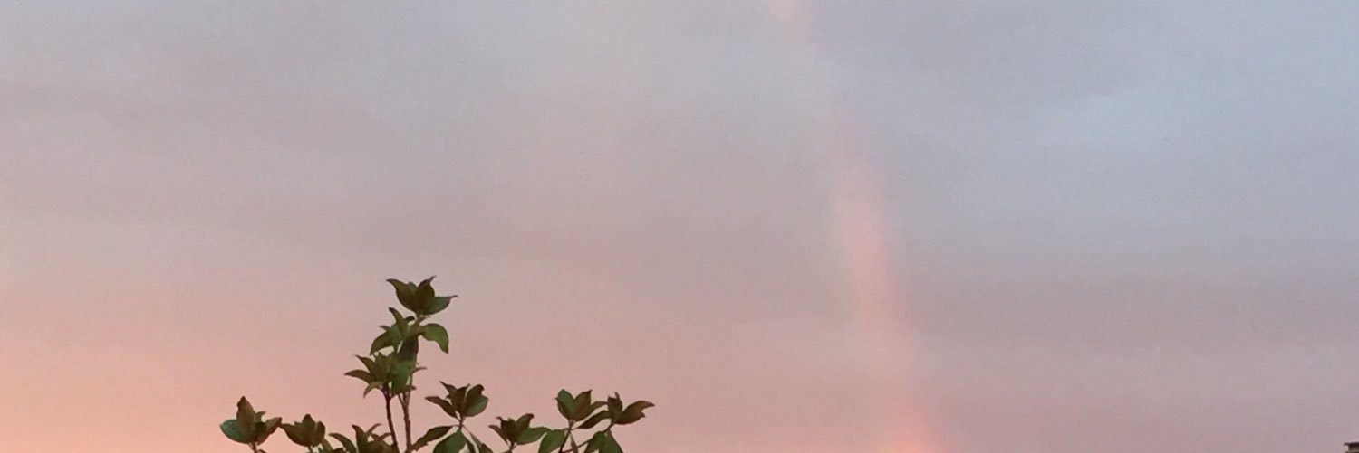 KjDoherty_'s profile banner image