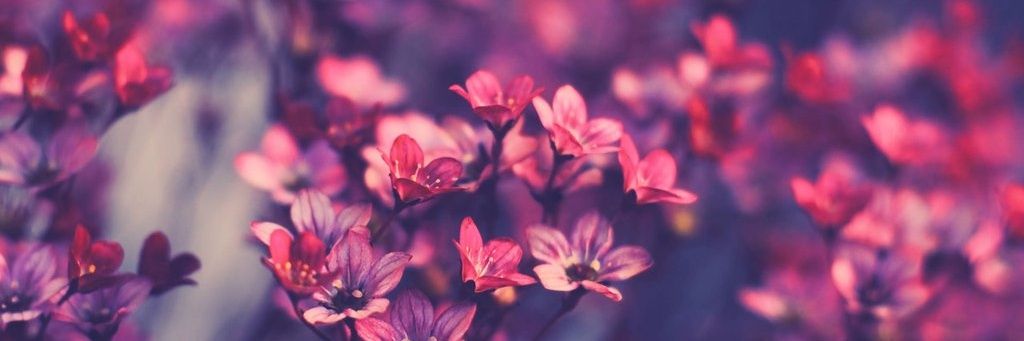 CamiiUN's profile banner image