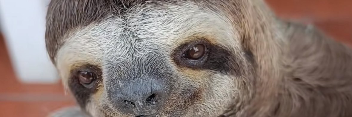 TiparracoSA's profile banner image