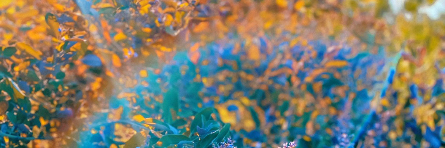katagr_'s profile banner image