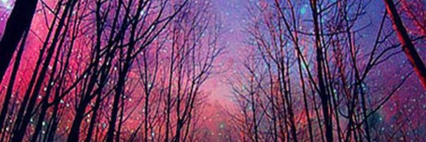 yelyelyel Profile Banner