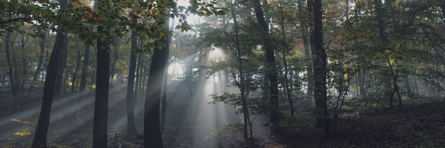 bekheedei's profile banner image
