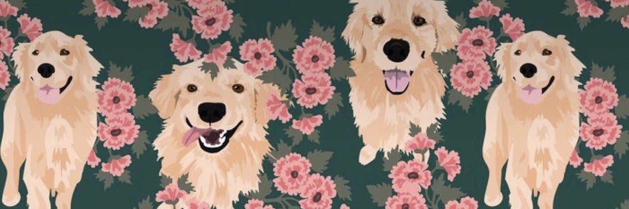 Meeeeesh__'s profile banner image