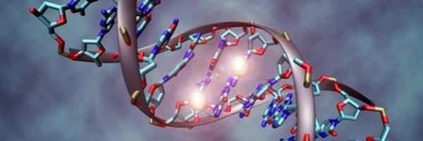 RoschewskiMD Profile Banner