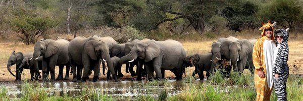 carapring Profile Banner