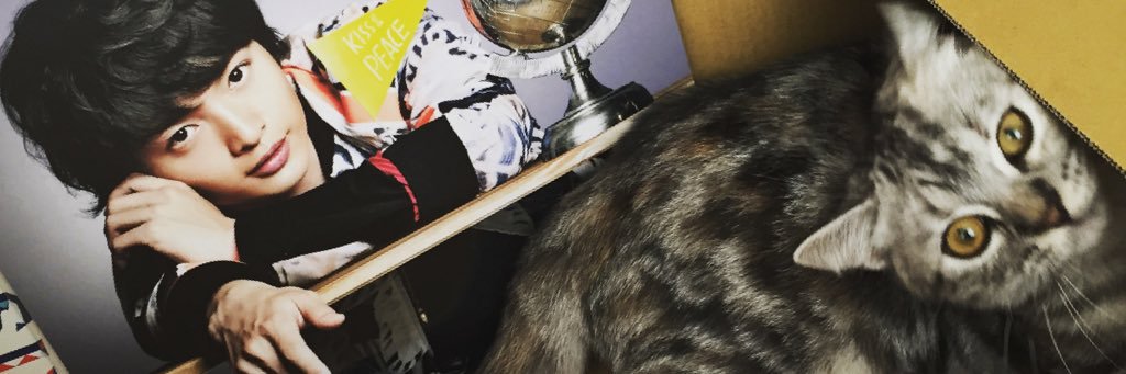 arinko3ma's profile banner image