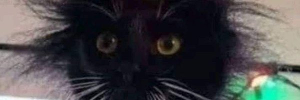 setaminak Profile Banner