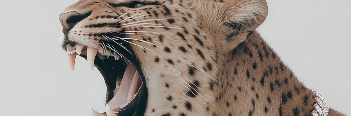 lamontecz's profile banner image