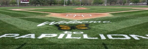 Papio-LV Baseball Profile Banner