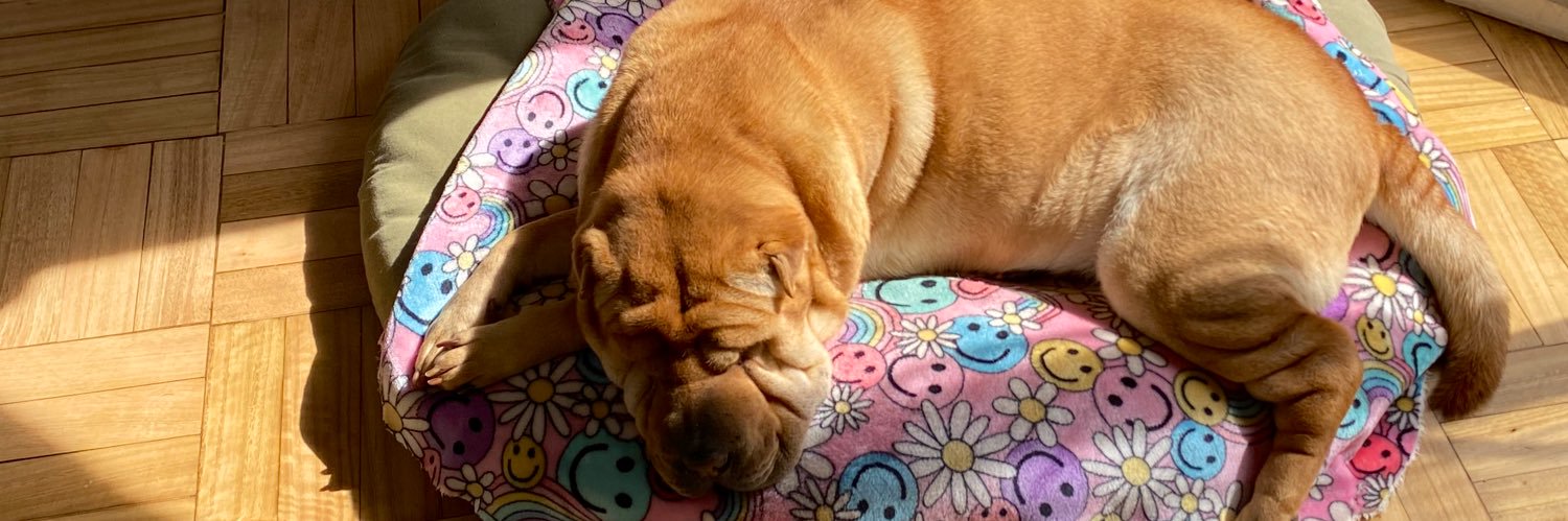 MelOstapowicz_'s profile banner image