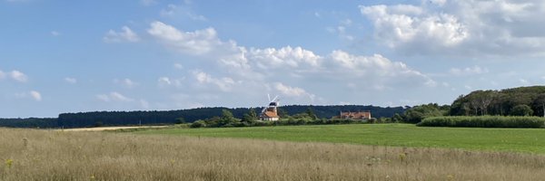 nicovibert Profile Banner