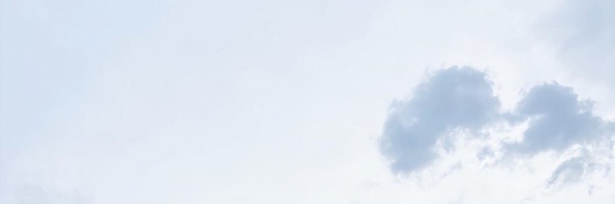 🦋🦋 banner