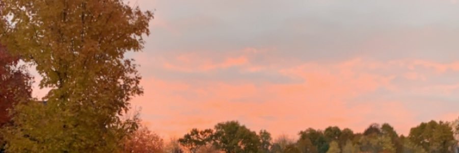 ColleenAnn94's profile banner image