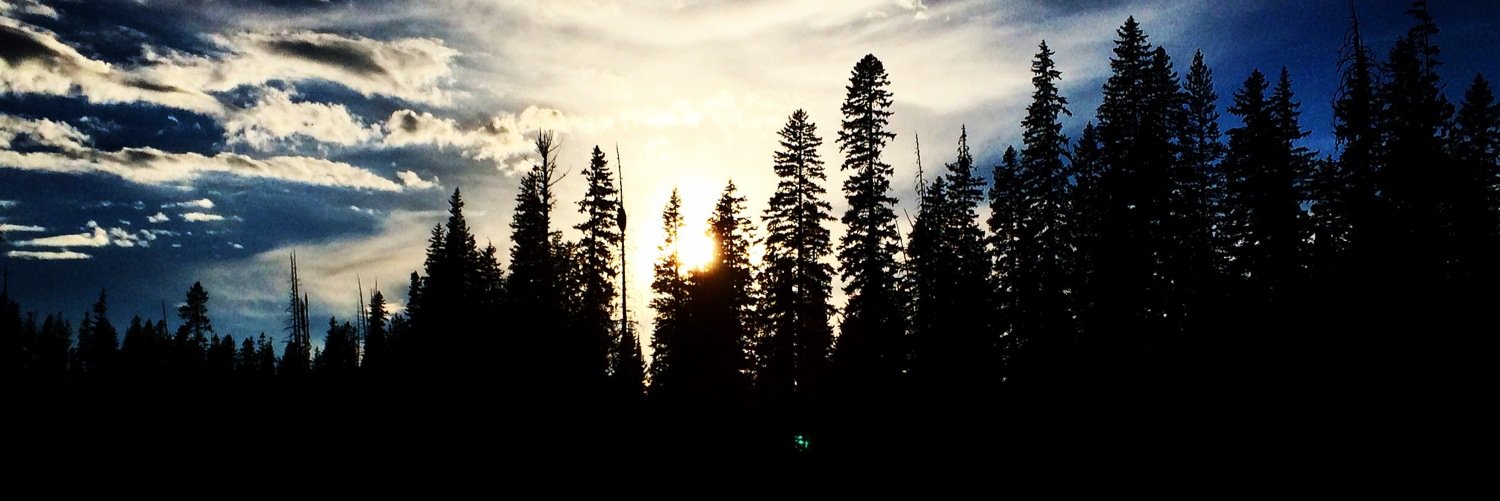 vandy_trav's profile banner image