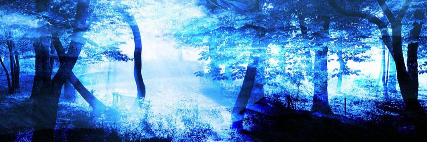 yuritoru's profile banner image