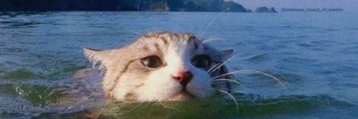 llogolepsy's profile banner image