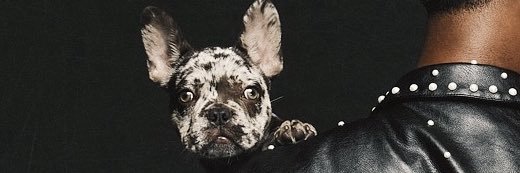 SIPPAJAMISON's profile banner image
