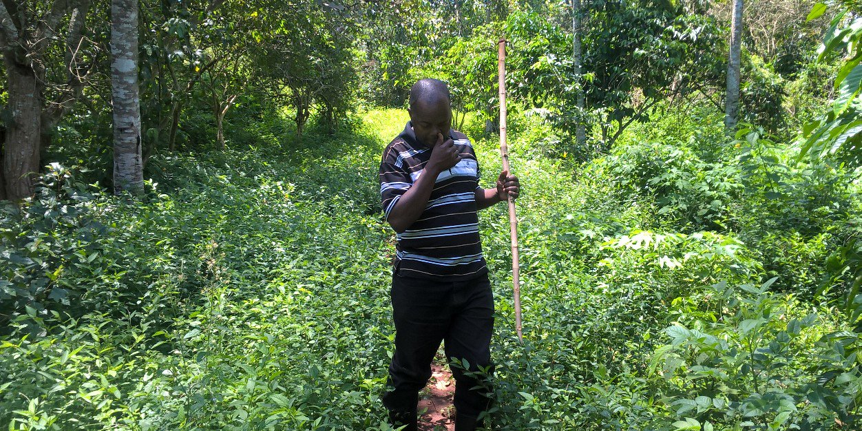 EDWARDMUTYABA's profile banner image