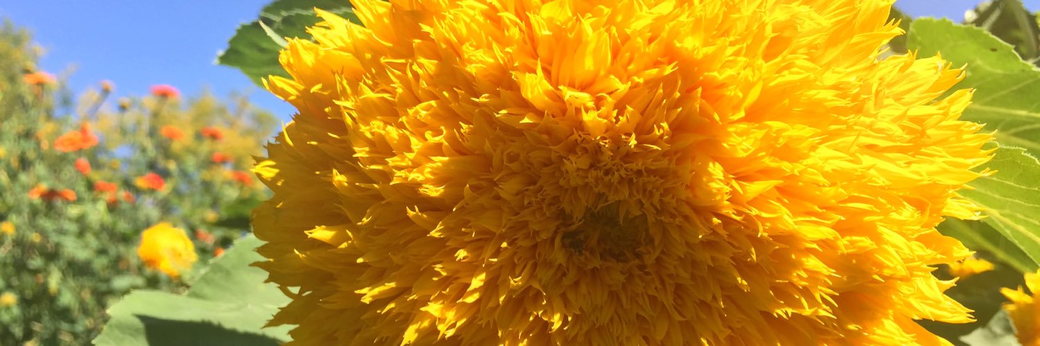 FarmingFC's profile banner image