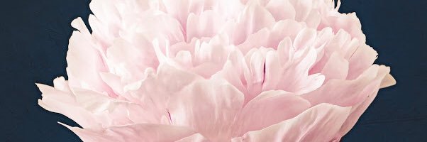 abridgeman1105's profile banner image