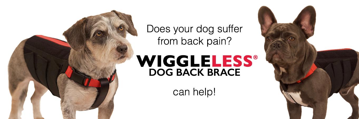 WiggleLess's profile banner image