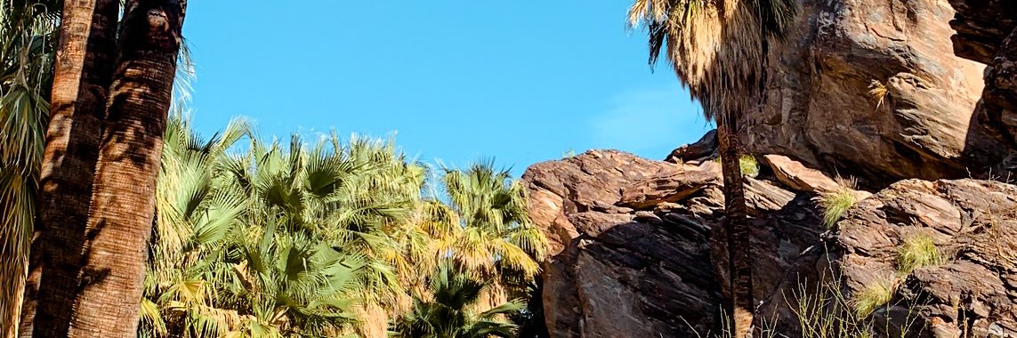 CieraStitz's profile banner image