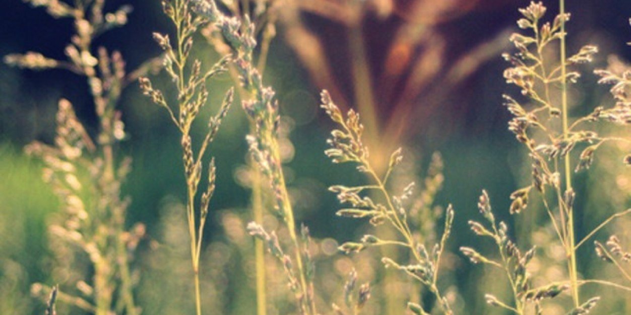 KelseyBenoit23's profile banner image
